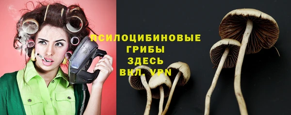 гашиш Вяземский