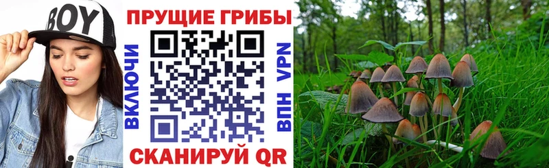 Псилоцибиновые грибы Magic Shrooms  Зарайск 